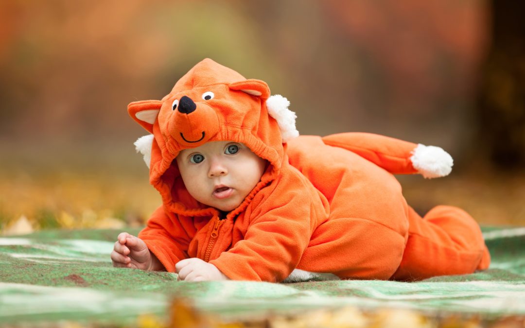 baby dressed in fox costume