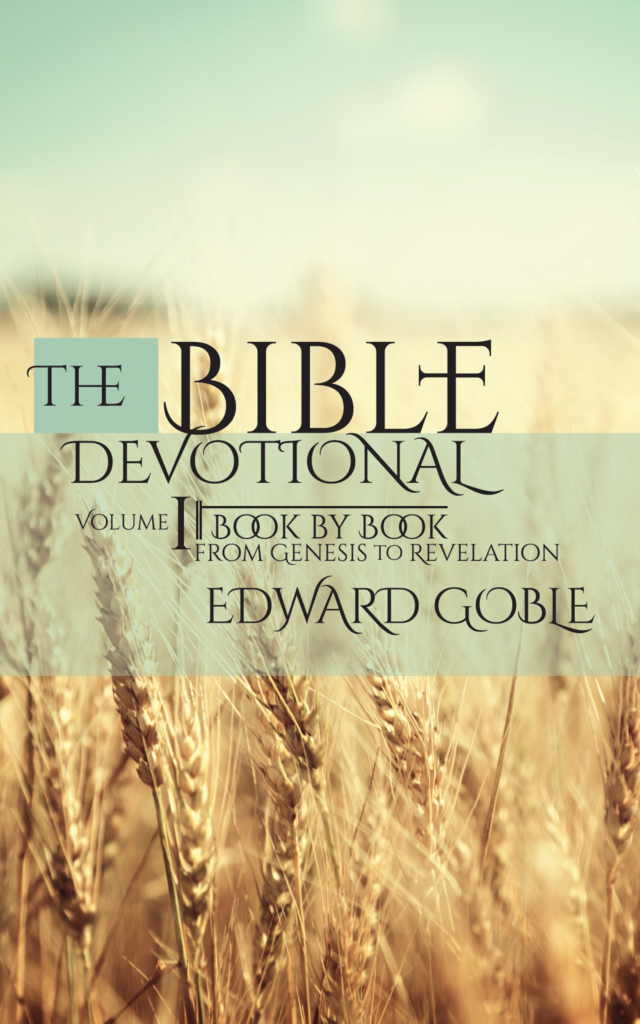 bible devotional cover